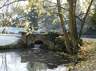 guided walks & activities