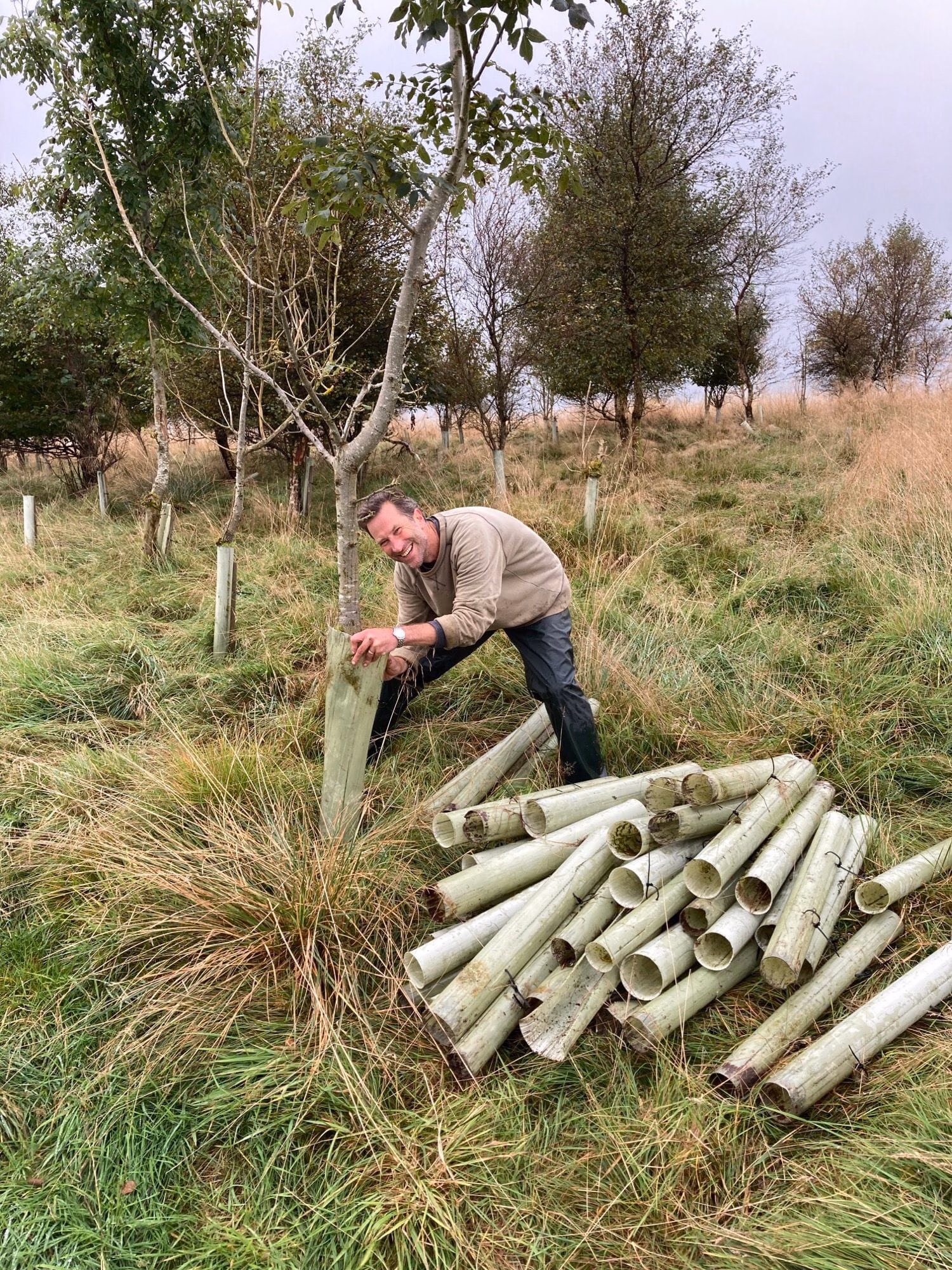 Ban Plastic Tree Guards 