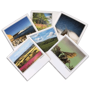 mixed pack of 6 notecards