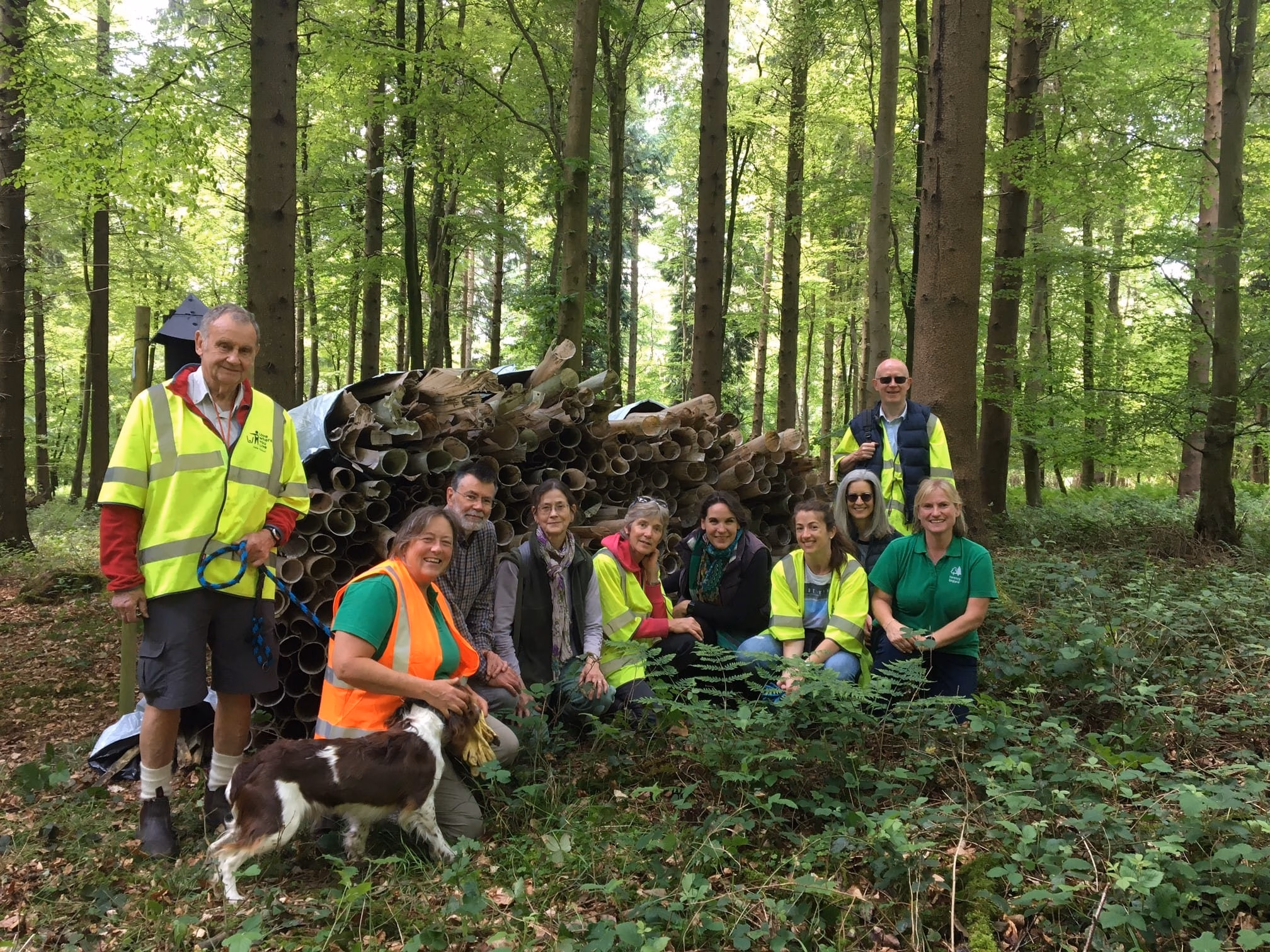 Tree Guard Cleanup Day
