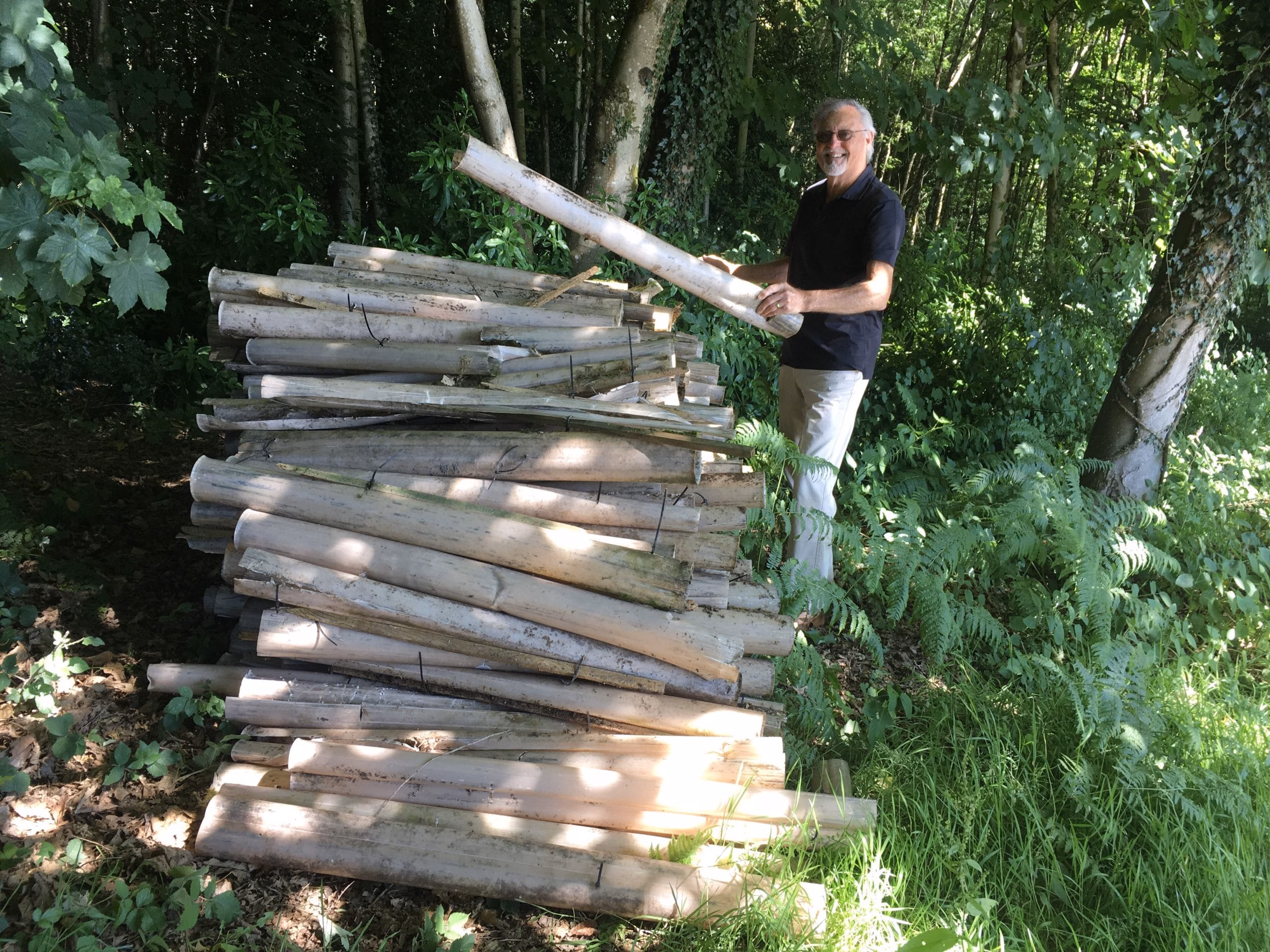 Collecting Redundant Tree Guards