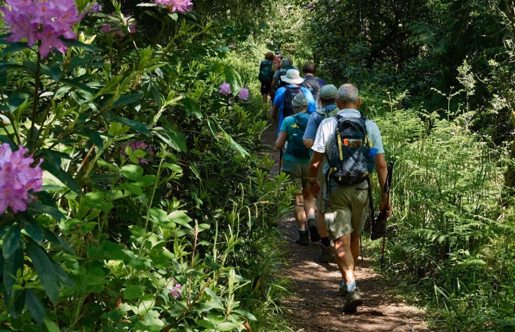 the belloc way photo by jeremy bacon