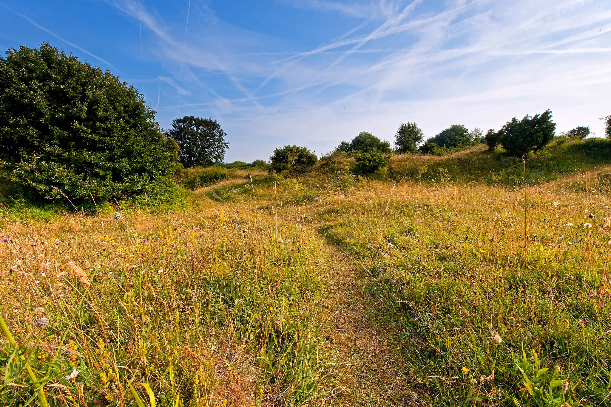 Special Sanctuary for Nature