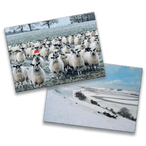 pack of 10 Christmas cards