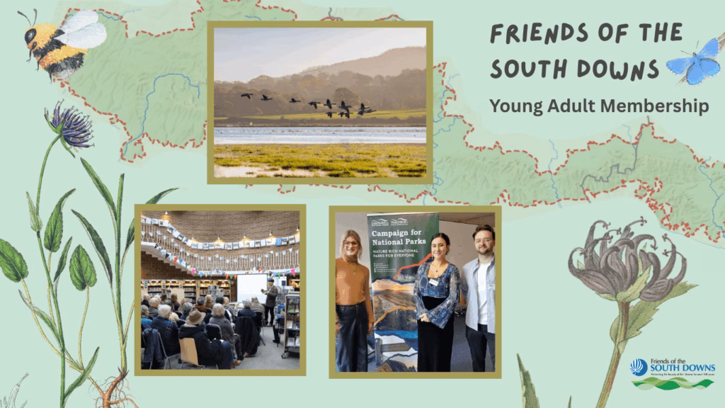 Collage promoting 'Friends of the South Downs' Young Adult Membership. Top image shows birds flying over a lake. Bottom left features a group seated in a hall with a speaker. Bottom right shows three people smiling in front of a banner for national park campaigns. Background includes a bee, flowers, and a map outline. Tone is welcoming and nature-focused.