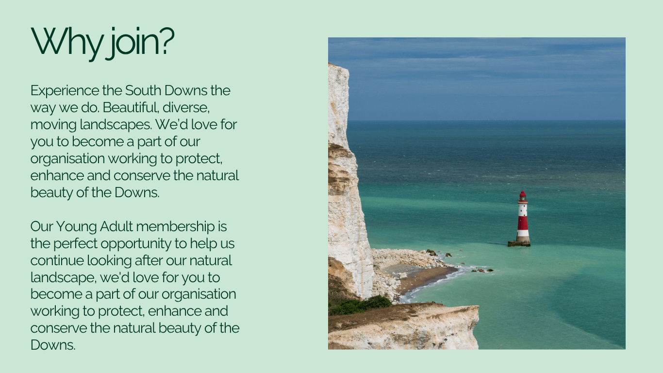 Coastal scene with white cliffs and a red-and-white striped lighthouse against a turquoise sea. Text on left invites joining a conservation group to sign up as a young adult member to Friends of the South Downs. 