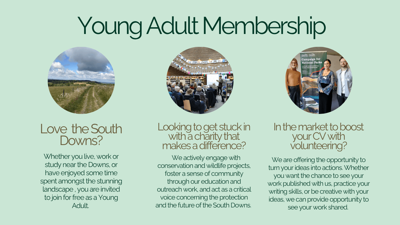 Young Adult Membership ad with three sections: South Downs landscape, charity in action, and CV-boosting volunteer opportunity. Engaging and inviting tone encouraging young people to sign up to Friends of the South Downs as young adult members. 