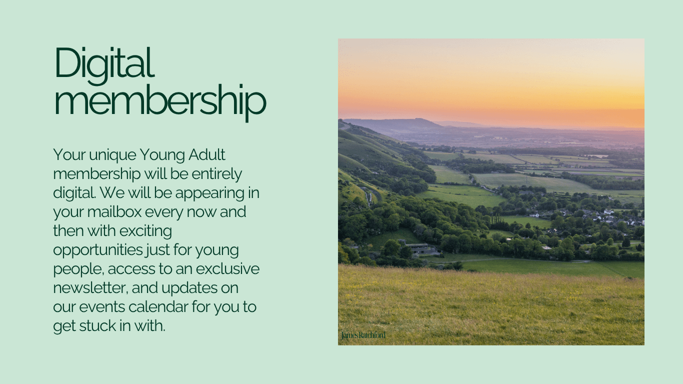 Digital membership ad with a serene landscape view of the South Downs National Park during sunset. Text highlights benefits like exclusive newsletters for young adults members to Friends of the South Downs.  Calm and inviting.