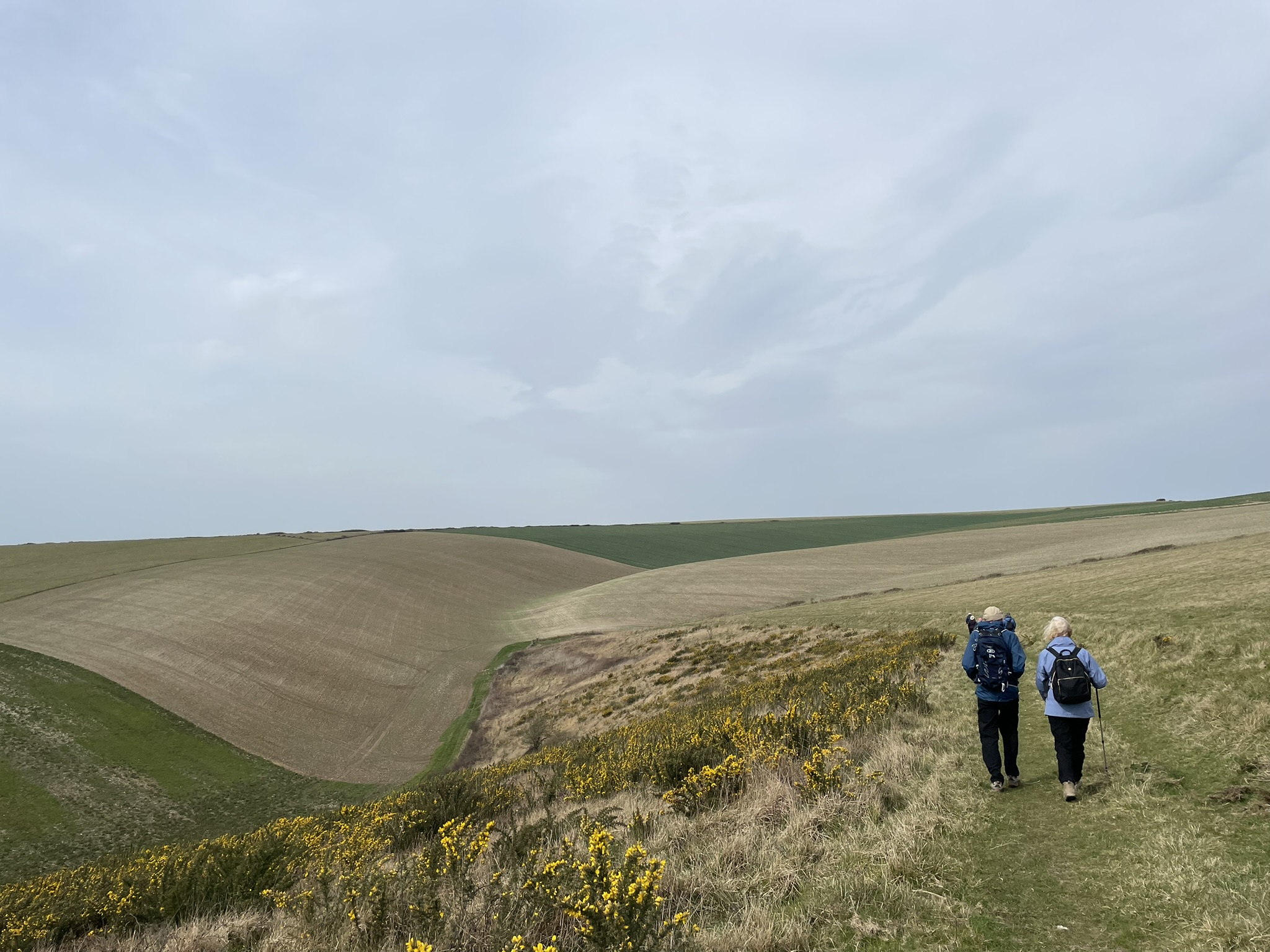 Walkers againsy a backdrop of the South Downs landscape.