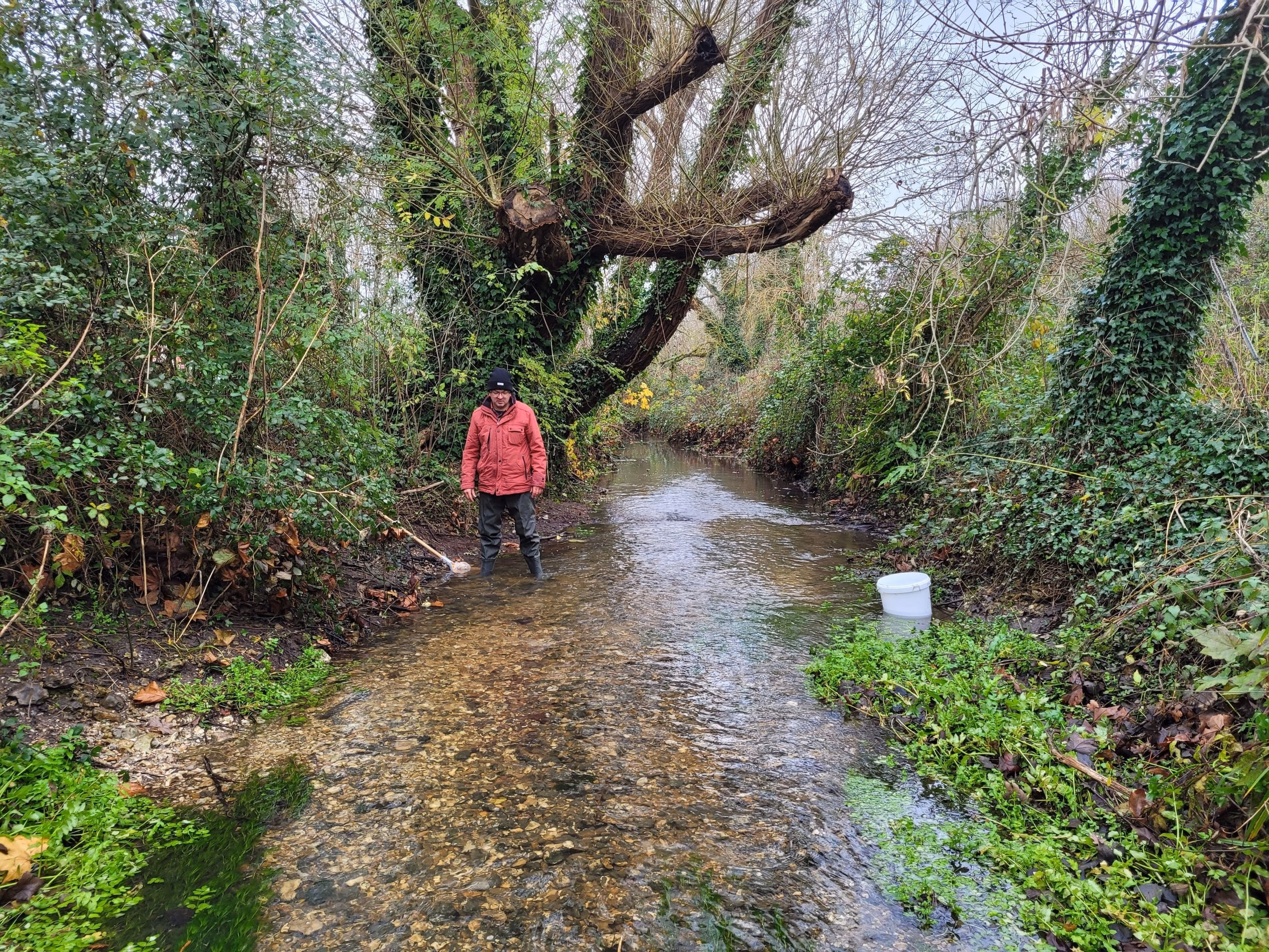 River Health in the South Downs National Park