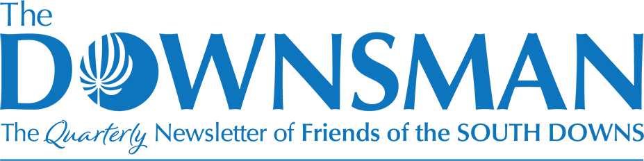 Downsman Magazine logo