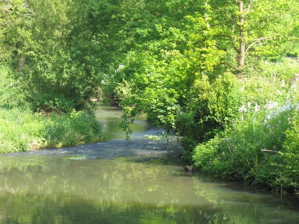 Clean Water Now: Environmental groups launch major new campaign ahead of Water Reform Bill