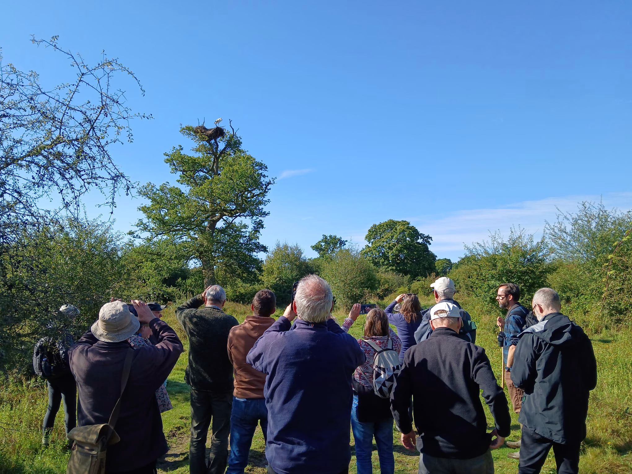 Knepp Rewilding Project Guided Walk