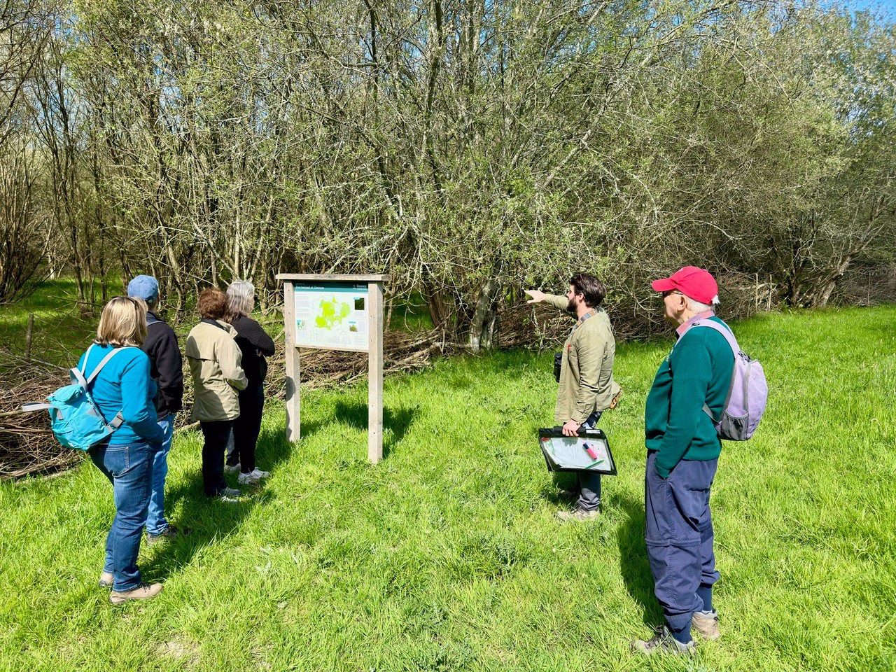Ancient Trees and Nightingale Song at Ebernoe Common