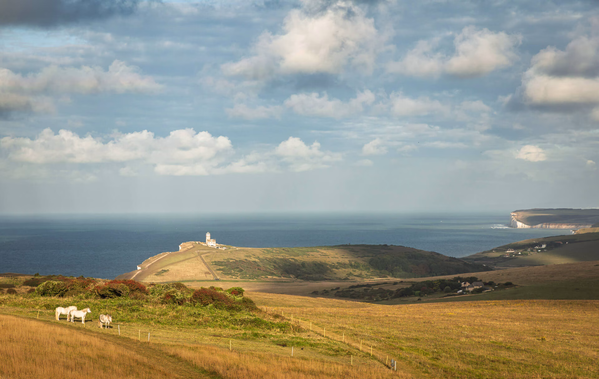 The South Downs Local Plan